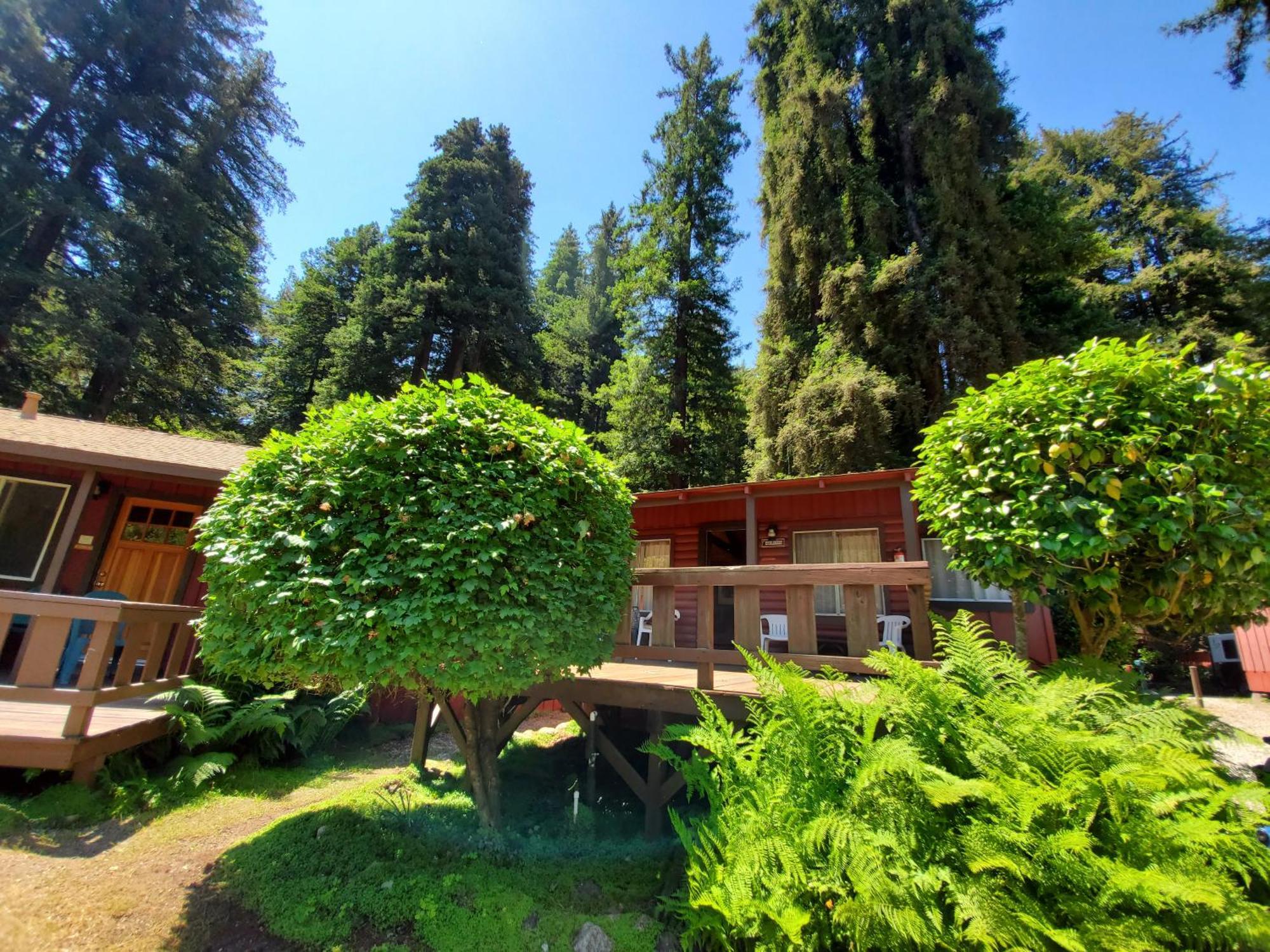 Resort Fern River