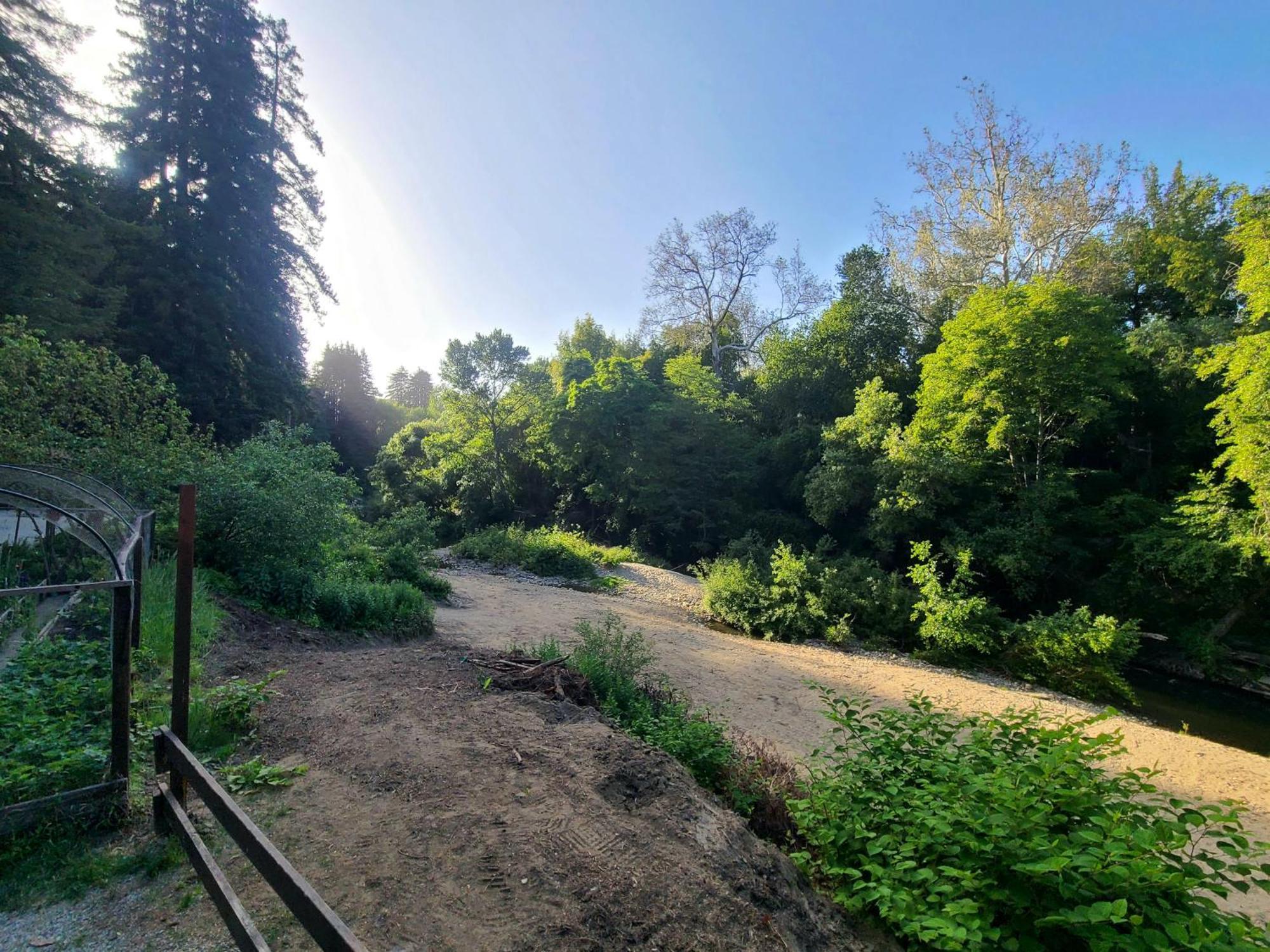 Resort Fern River