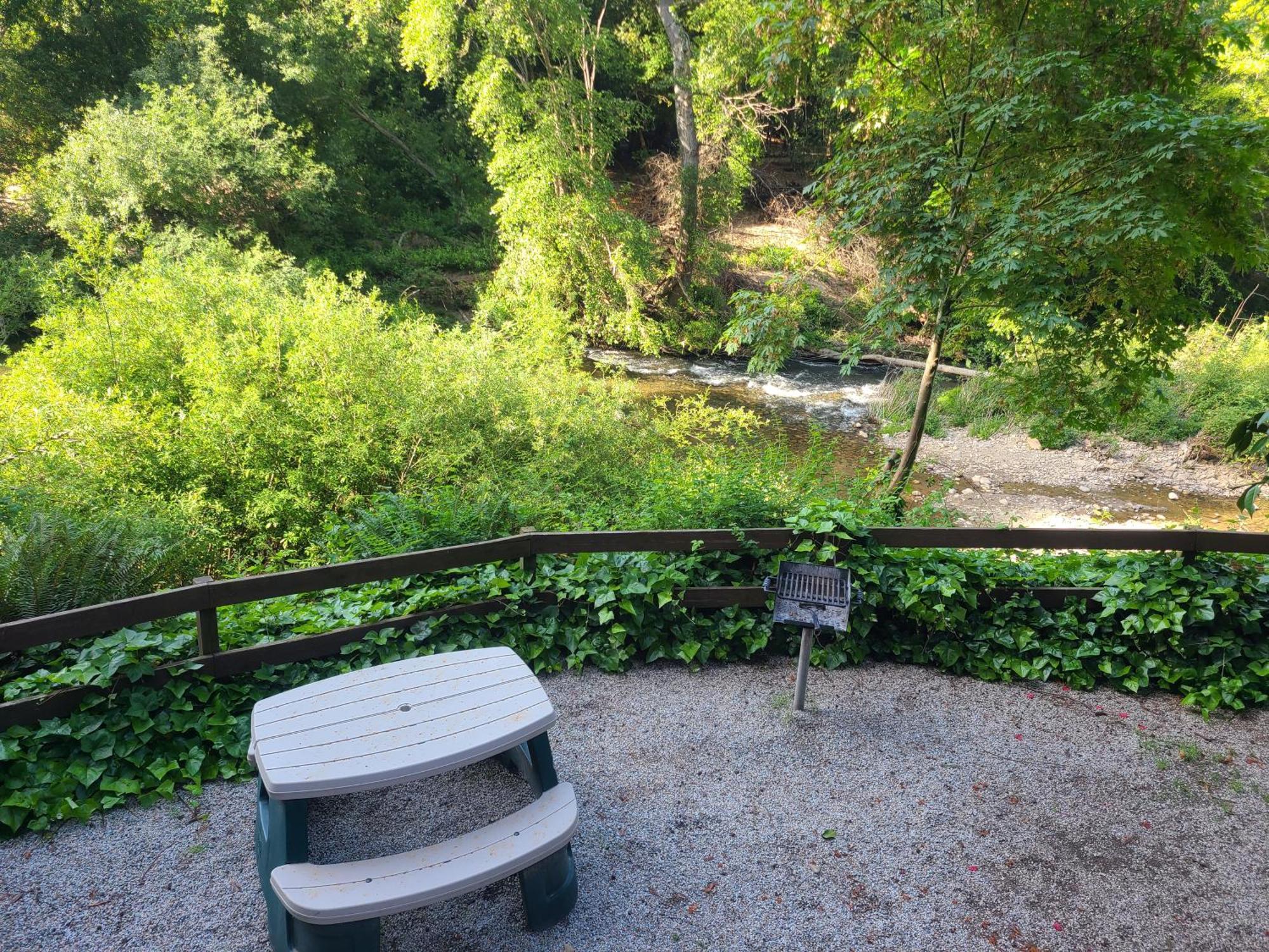 Resort Fern River