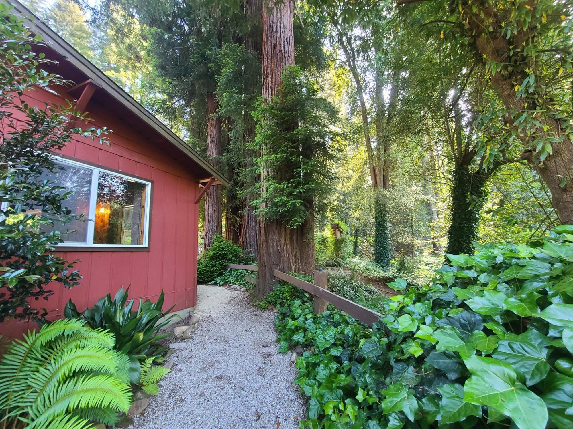 Resort Fern River